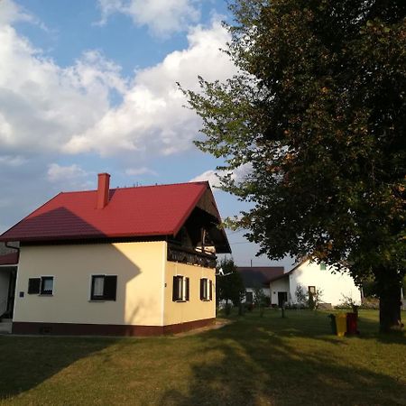 Villa Natali Donji Babin Potok Екстер'єр фото